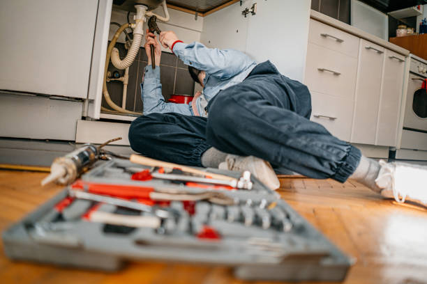 Best Local Plumber Services  in Albion, PA