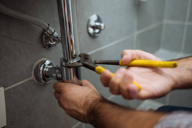 Best Commercial Plumbing Services  in Albion, PA