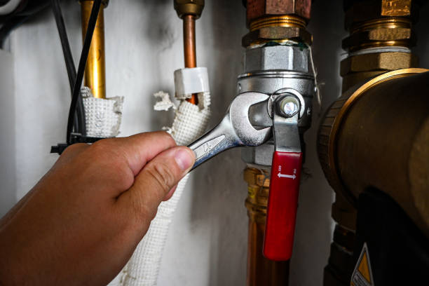 Best Leak Detection Services  in Albion, PA